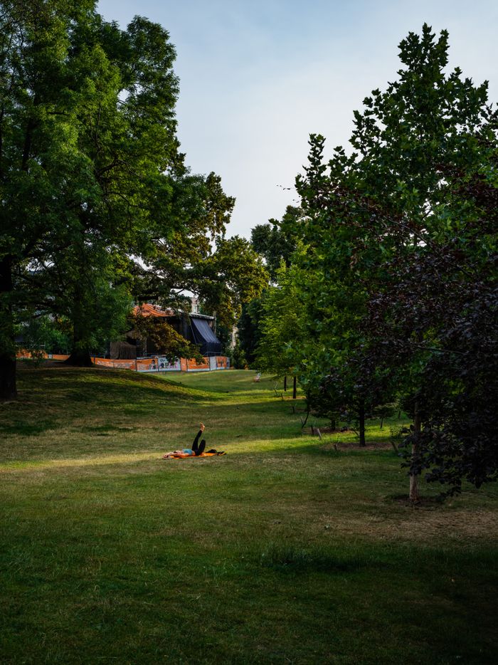 A woman practices yoga in a tranquil park setting surrounded by lush trees, epitomizing relaxation and mindfulness.